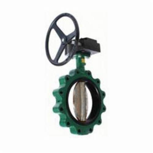 Crane Centerline Lug Butterfly Valve with Gear Operator
