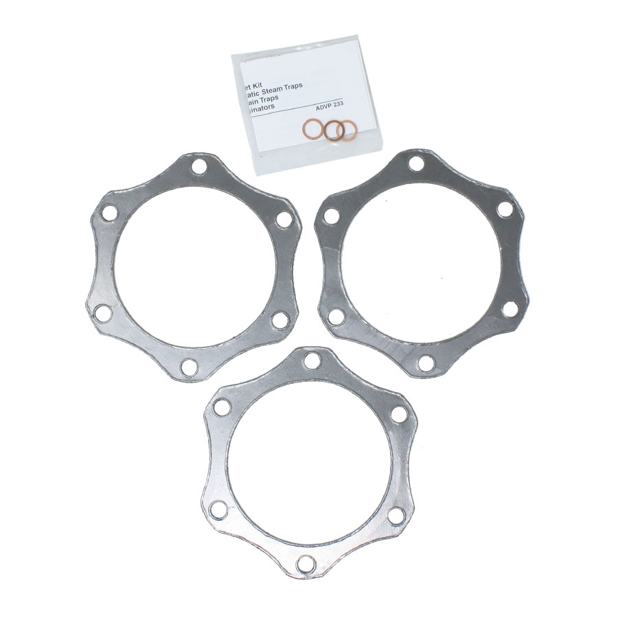 Spirax Sarco 66576 Gasket Kit