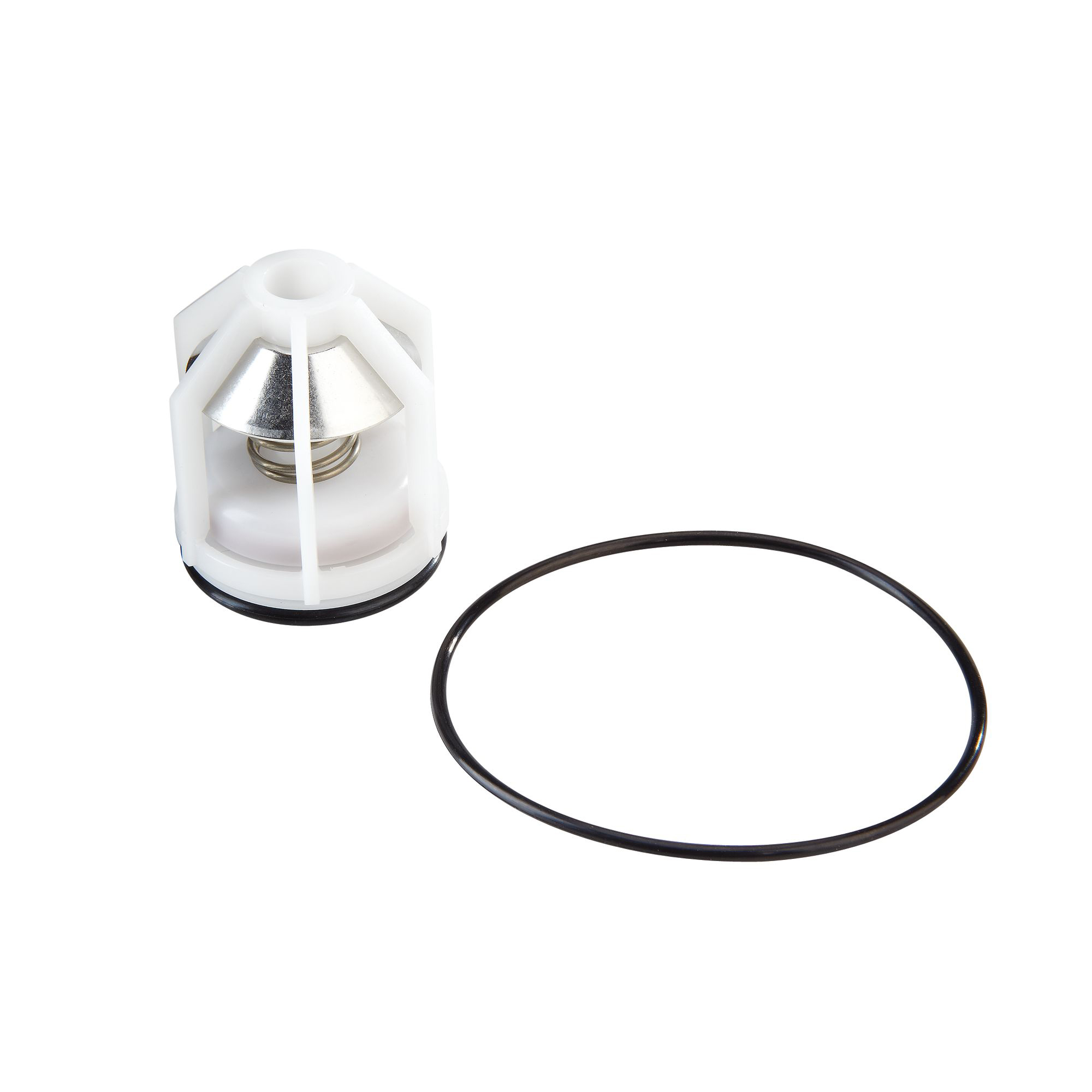 WATTS® 0887789