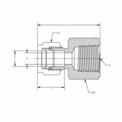 Tylok® SS-6-DFC-4